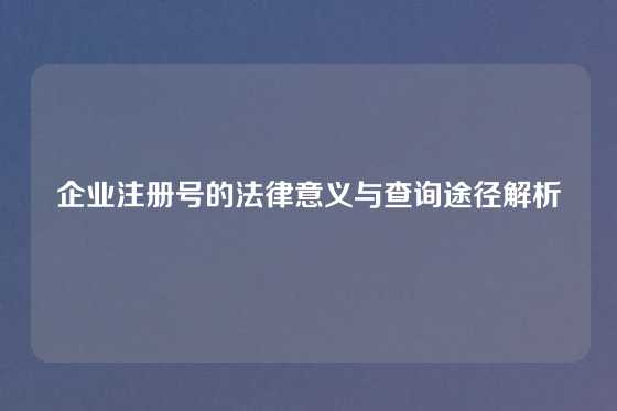 企业注册号的法律意义与查询途径解析