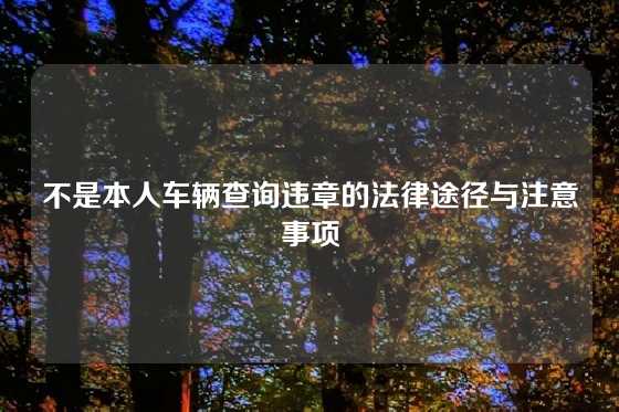 不是本人车辆查询违章的法律途径与注意事项