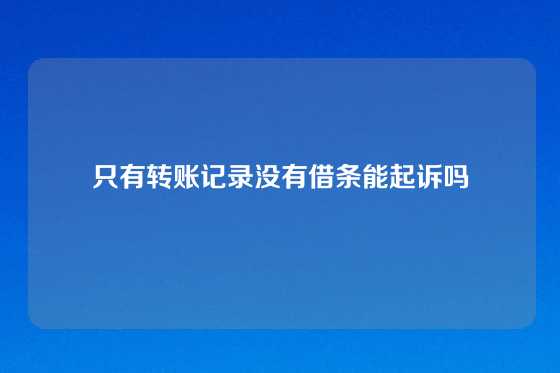 只有转账记录没有借条能起诉吗