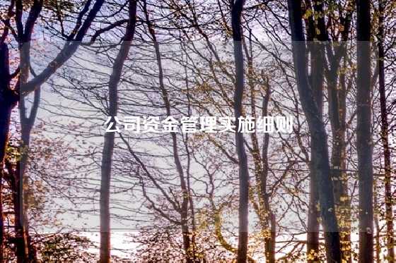 公司资金管理实施细则