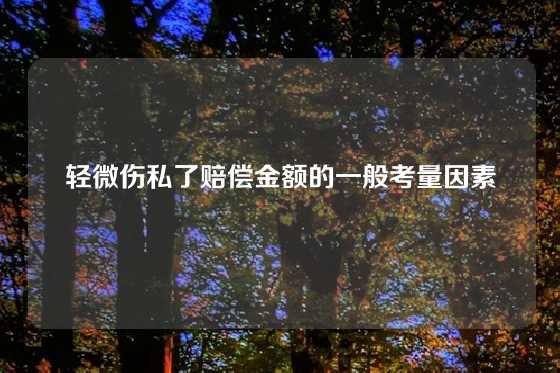 轻微伤私了赔偿金额的一般考量因素