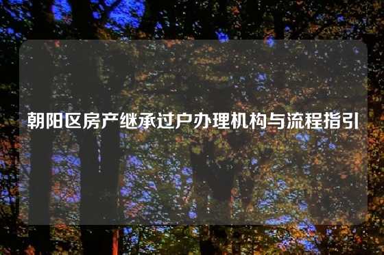 朝阳区房产继承过户办理机构与流程指引