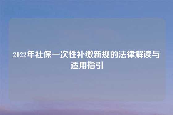 2022年社保一次性补缴新规的法律解读与适用指引