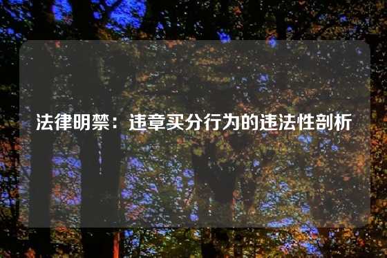 法律明禁：违章买分行为的违法性剖析