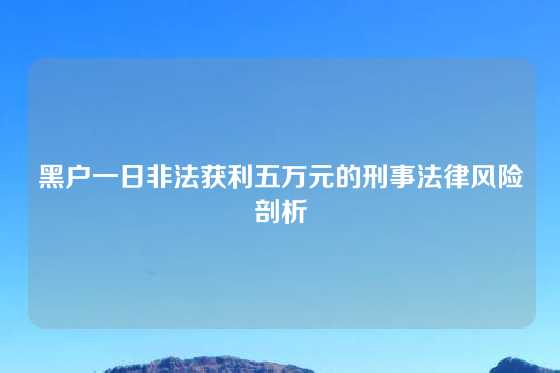 黑户一日非法获利五万元的刑事法律风险剖析