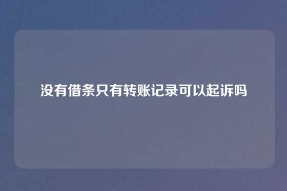 没有借条只有转账记录可以起诉吗
