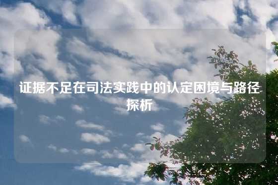 证据不足在司法实践中的认定困境与路径探析