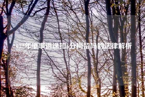 2022年肇事逃逸扣6分拘留吗的法律解析