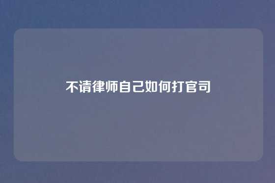 不请律师自己如何打官司