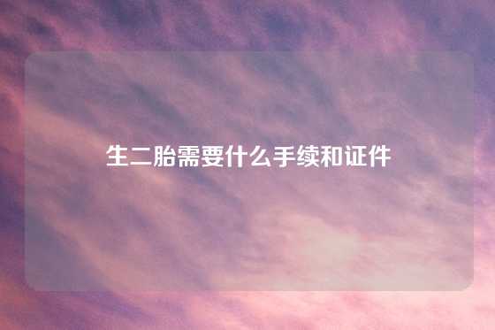 生二胎需要什么手续和证件