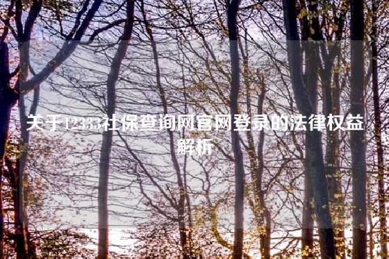 关于12333社保查询网官网登录的法律权益解析