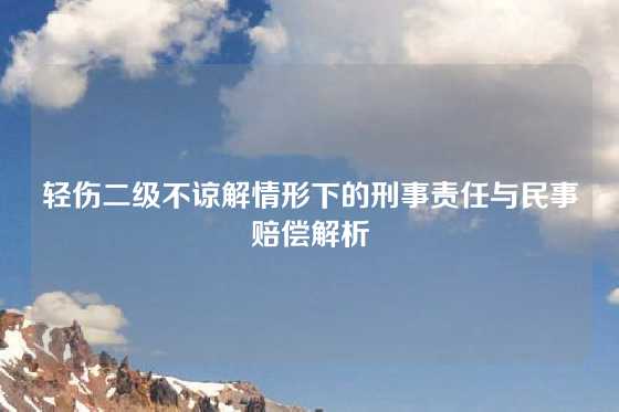 轻伤二级不谅解情形下的刑事责任与民事赔偿解析