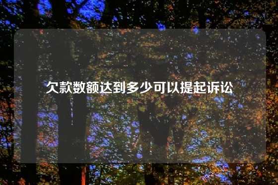 欠款数额达到多少可以提起诉讼