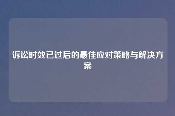 诉讼时效已过后的最佳应对策略与解决方案