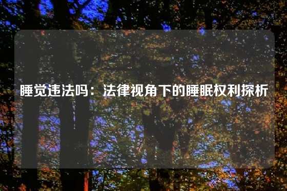 睡觉违法吗：法律视角下的睡眠权利探析