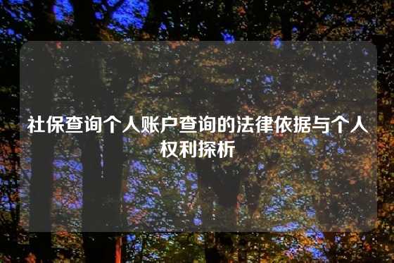 社保查询个人账户查询的法律依据与个人权利探析