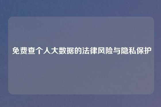  免费查个人大数据的法律风险与隐私保护