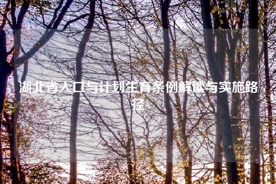 湖北省人口与计划生育条例解读与实施路径
