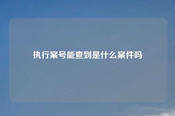 执行案号能查到是什么案件吗