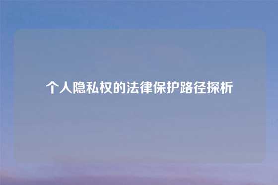 个人隐私权的法律保护路径探析
