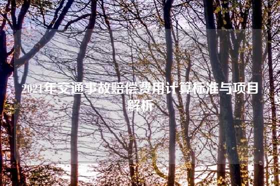 2021年交通事故赔偿费用计算标准与项目解析