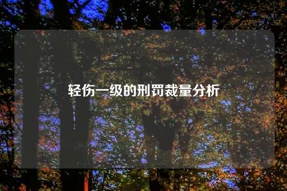 轻伤一级的刑罚裁量分析
