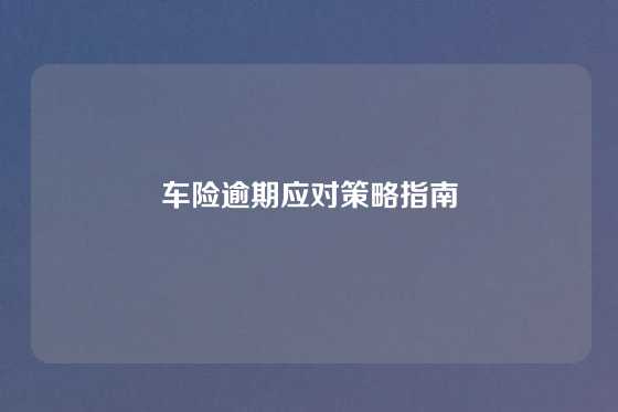 车险逾期应对策略指南