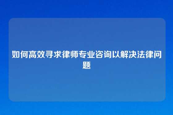 如何高效寻求律师专业咨询以解决法律问题