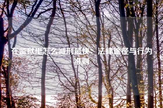 在监狱里怎么减刑最快：法律途径与行为准则