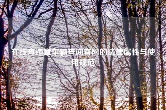 在线查违章车辆查询官网的法律属性与使用规范