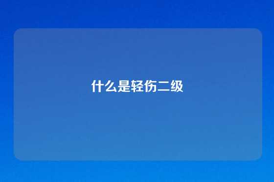 什么是轻伤二级