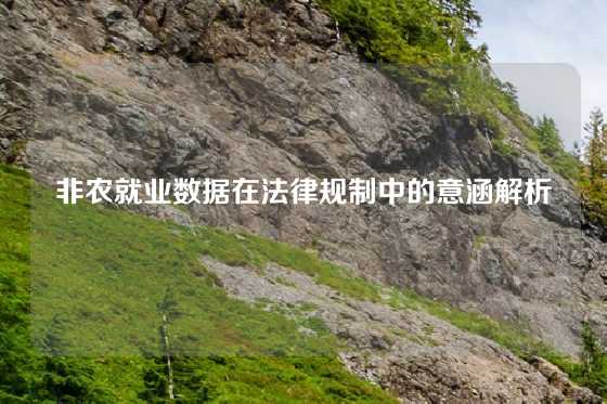 非农就业数据在法律规制中的意涵解析