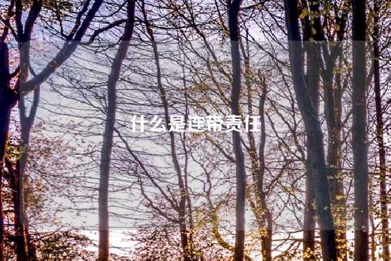 什么是连带责任