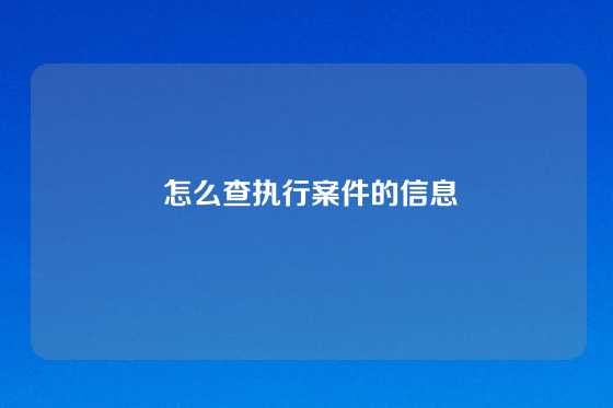  怎么查执行案件的信息