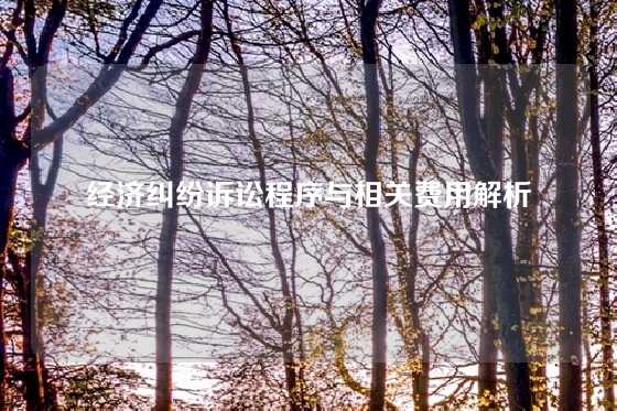 经济纠纷诉讼程序与相关费用解析