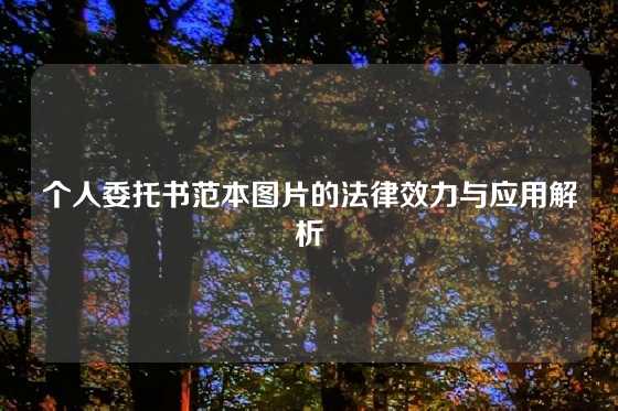 个人委托书范本图片的法律效力与应用解析