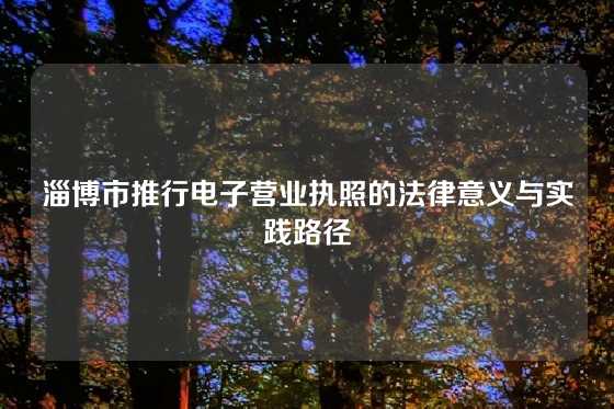 淄博市推行电子营业执照的法律意义与实践路径