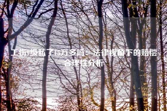工伤9级私了15万多吗：法律视角下的赔偿合理性分析