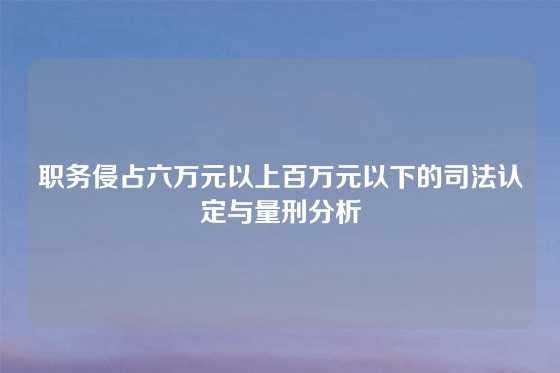 职务侵占六万元以上百万元以下的司法认定与量刑分析