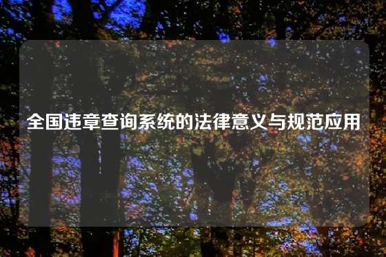 全国违章查询系统的法律意义与规范应用