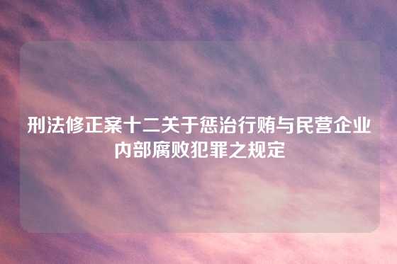 刑法修正案十二关于惩治行贿与民营企业内部腐败犯罪之规定