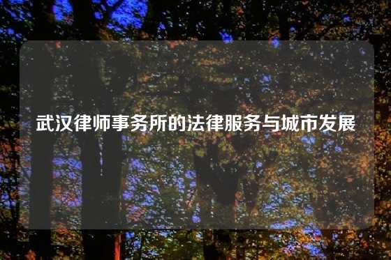 武汉律师事务所的法律服务与城市发展