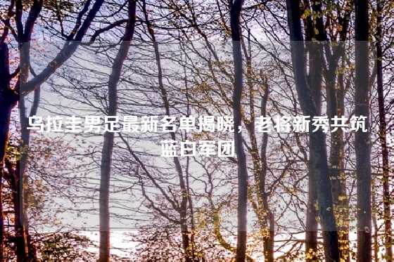 乌拉圭男足最新名单揭晓，老将新秀共筑蓝白军团