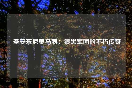  圣安东尼奥马刺：银黑军团的不朽传奇